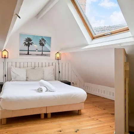 Old Charming Duplex Apartment Lille